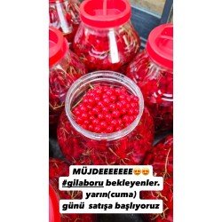 Gilaboru 5lt Gilaboru 5lt