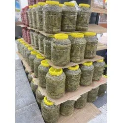 Manisa yaprağı  2tane 5lt