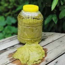 Salamura Manisa Yaprak 5 lt